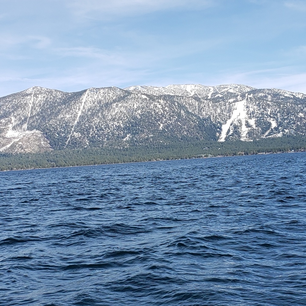 Meet your Posher, Kelli